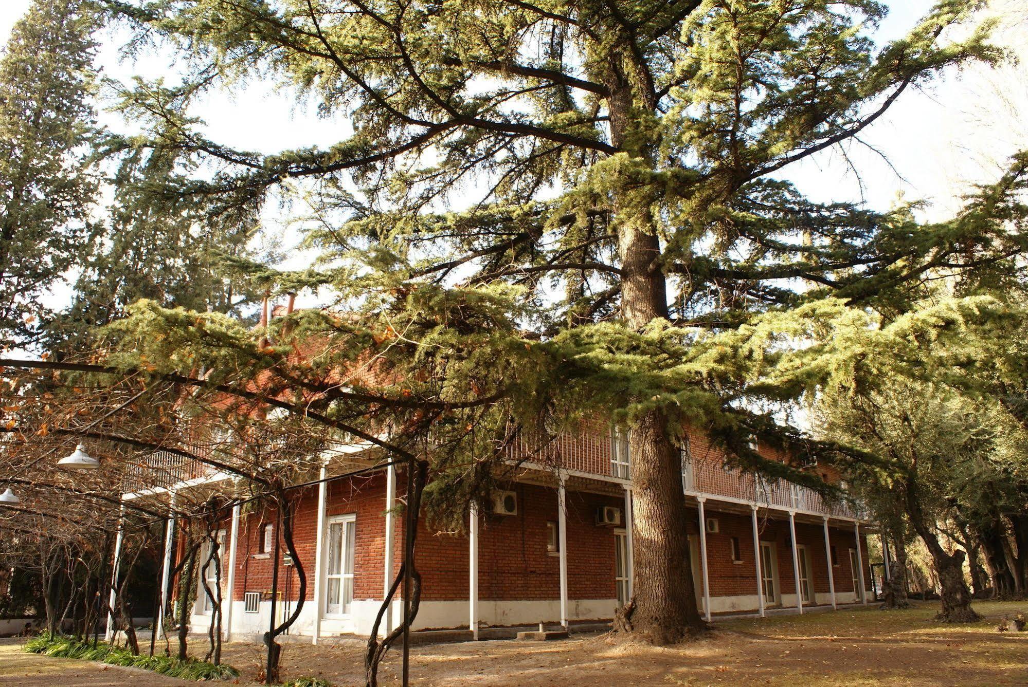 Hotel San Francisco Chacras de Coria Ngoại thất bức ảnh